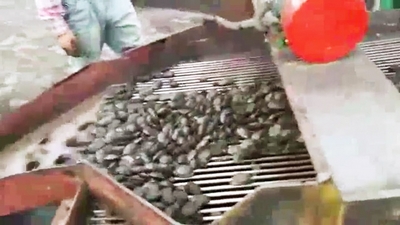 Пресс для брикетирования вторичной окалины